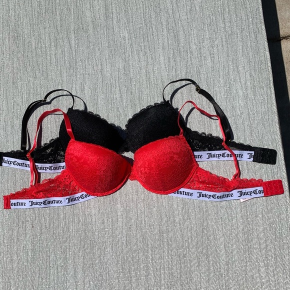 Juicy Couture Other - Juicy Couture Lace Push-Up Bra Set- 34B